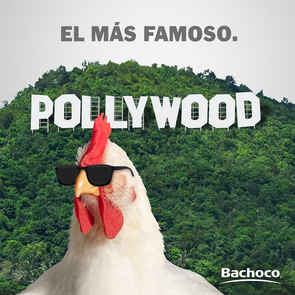 Agencia de Publicidad de Bachoco en Nayarit