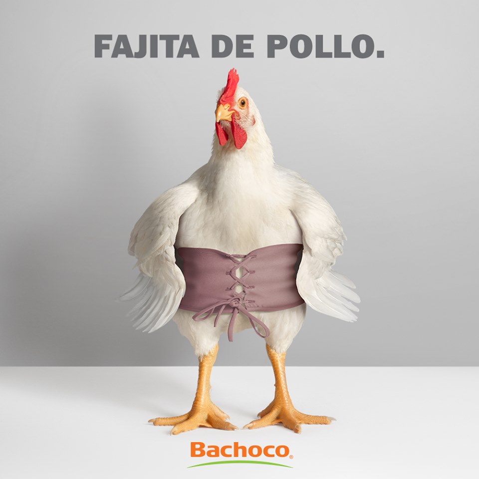 Publicidad Creativa de Bachoco