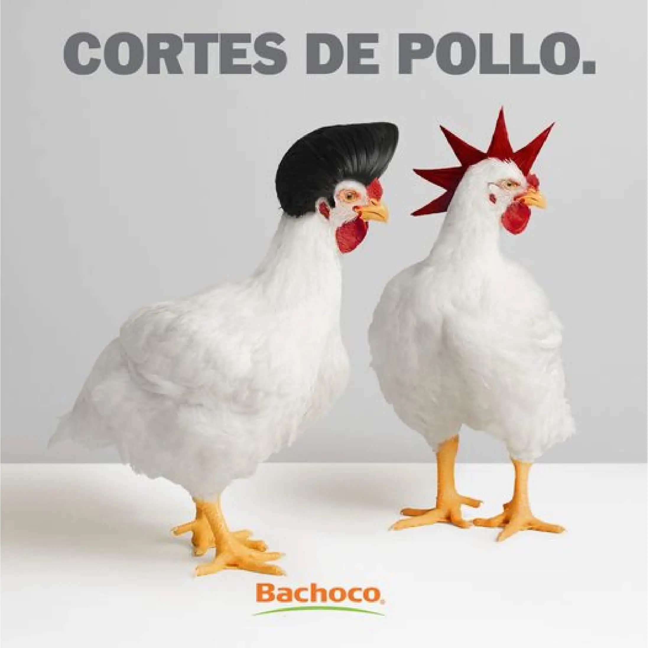 Publicidad de Bachoco en México con campaña de humor.