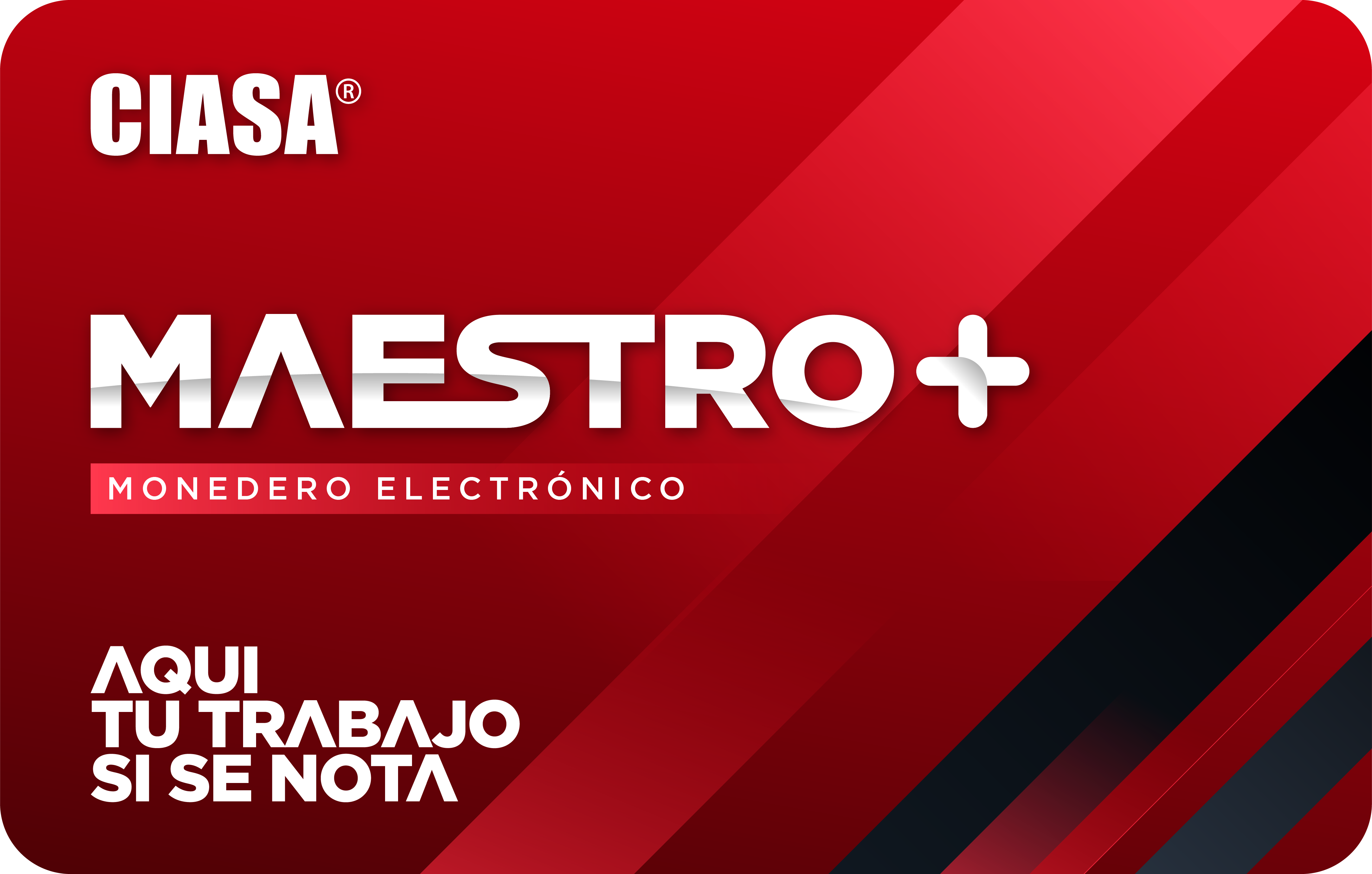 Monedero Maestro CIASA