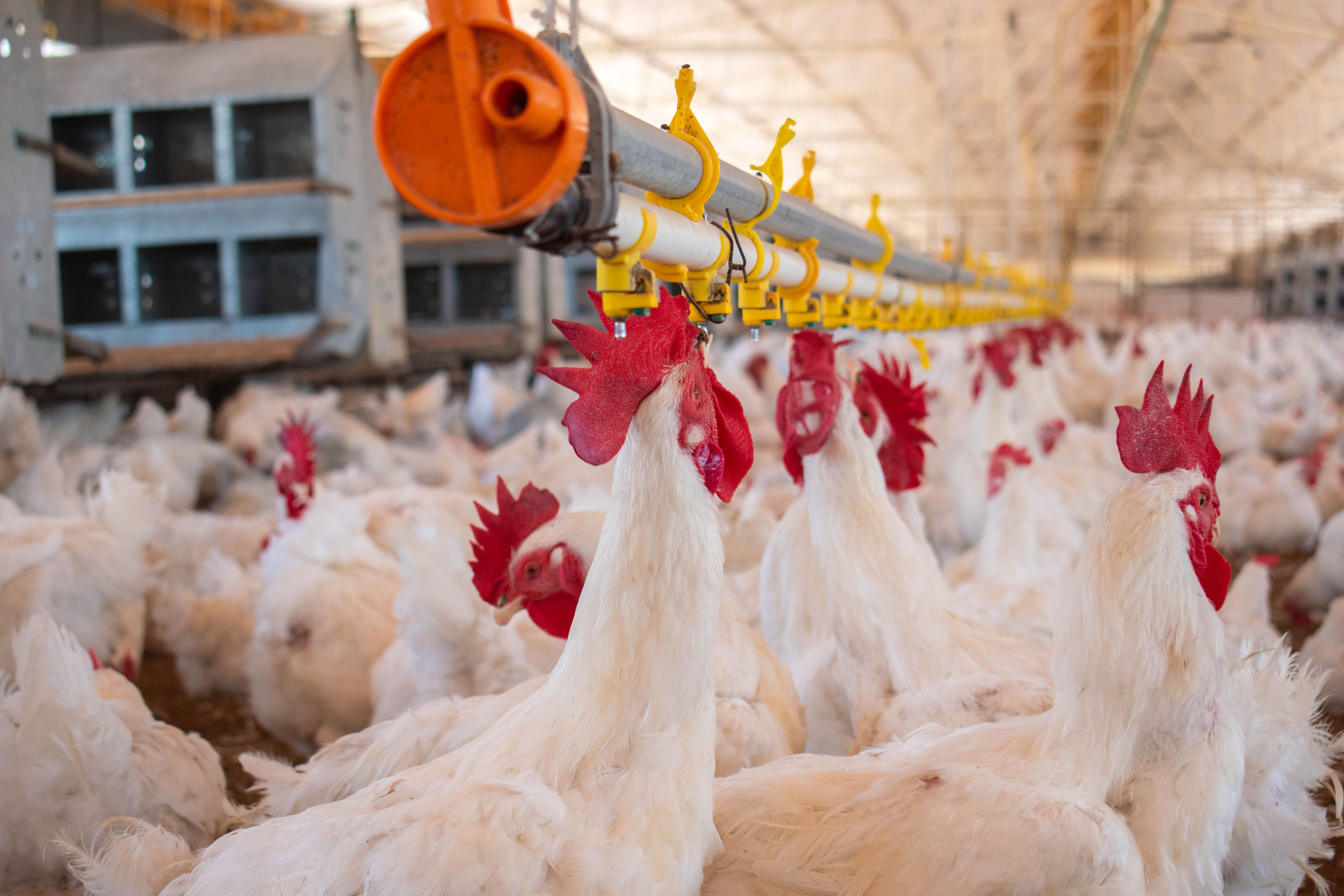 Fotografía Corporativa