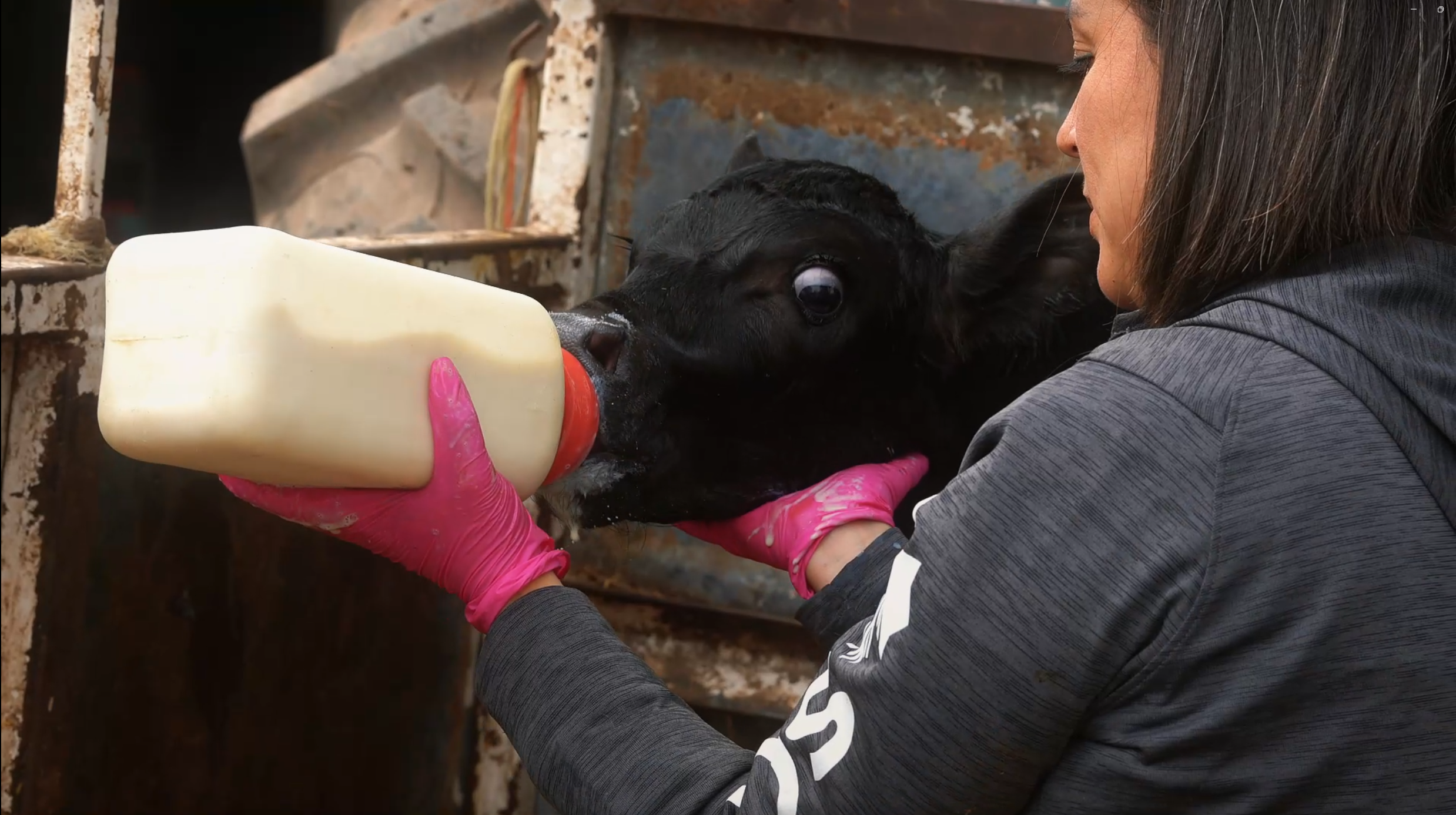 SCCL Colostrum - Producción Audiovisual Holográfico