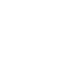 Investigación digital