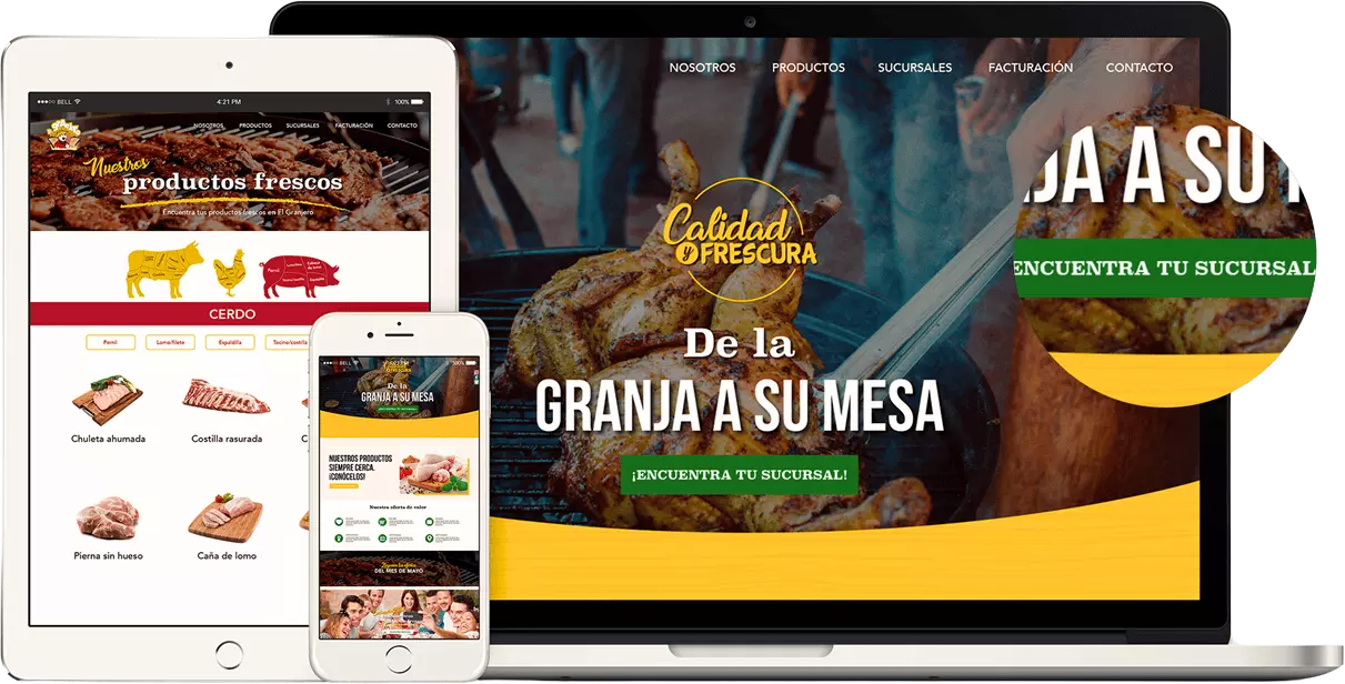 Diseño de página web profesional