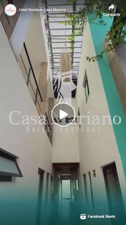 Video 2